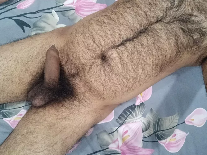 Hairy Indian 27