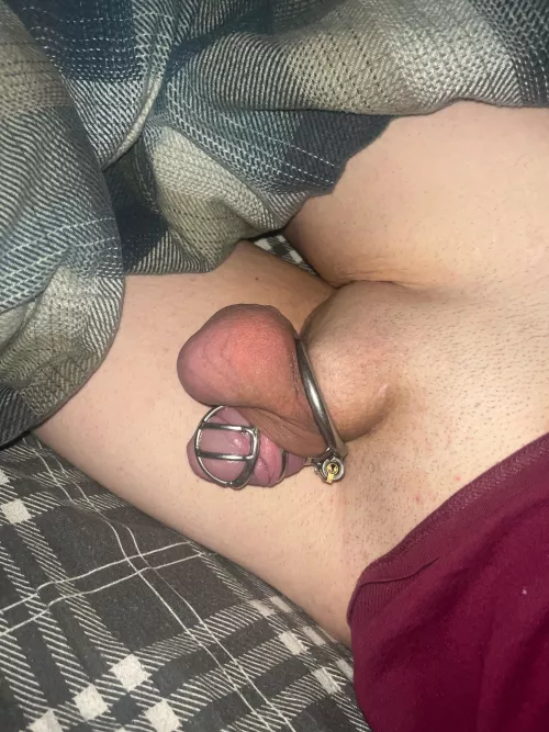 Having trouble not giving in and uncaging to stroke 🥺🥺