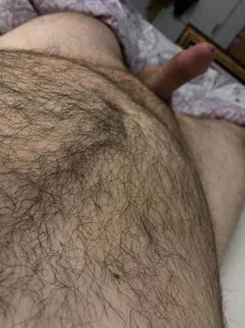 Help me cum fellow bears