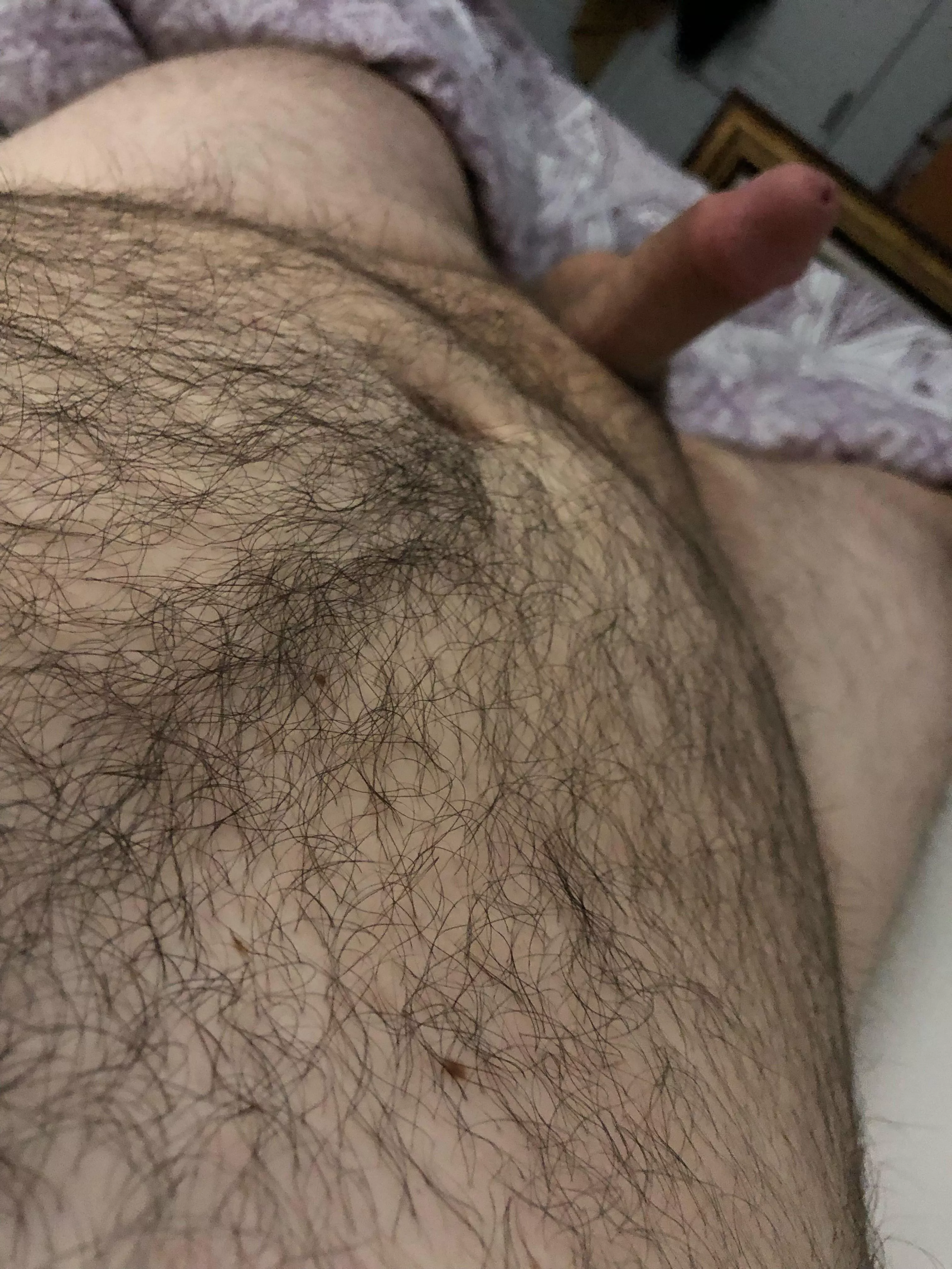 Help me cum fellow bears