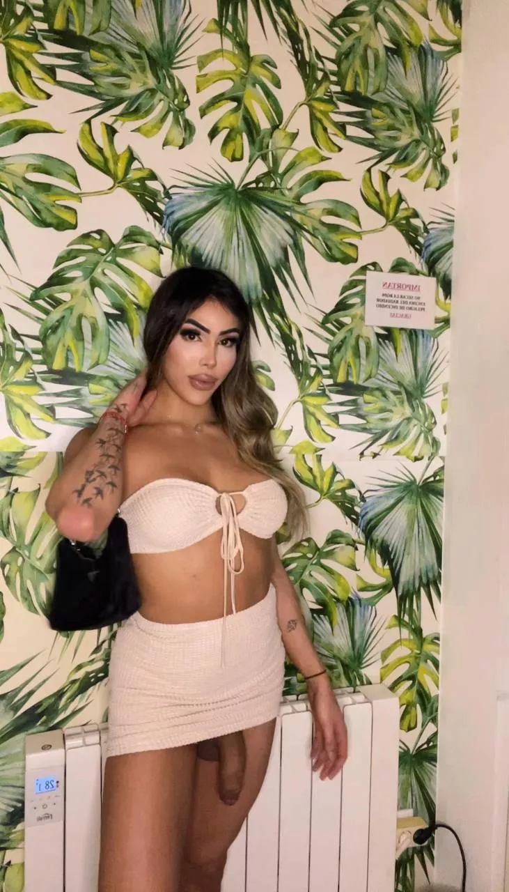 If you had to pick one thing to lick first, what would it be?