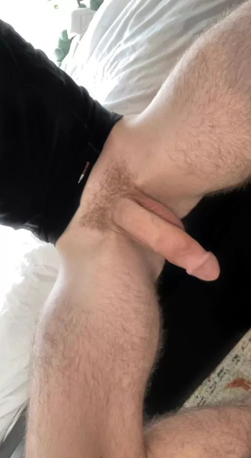 it gets even bigger …