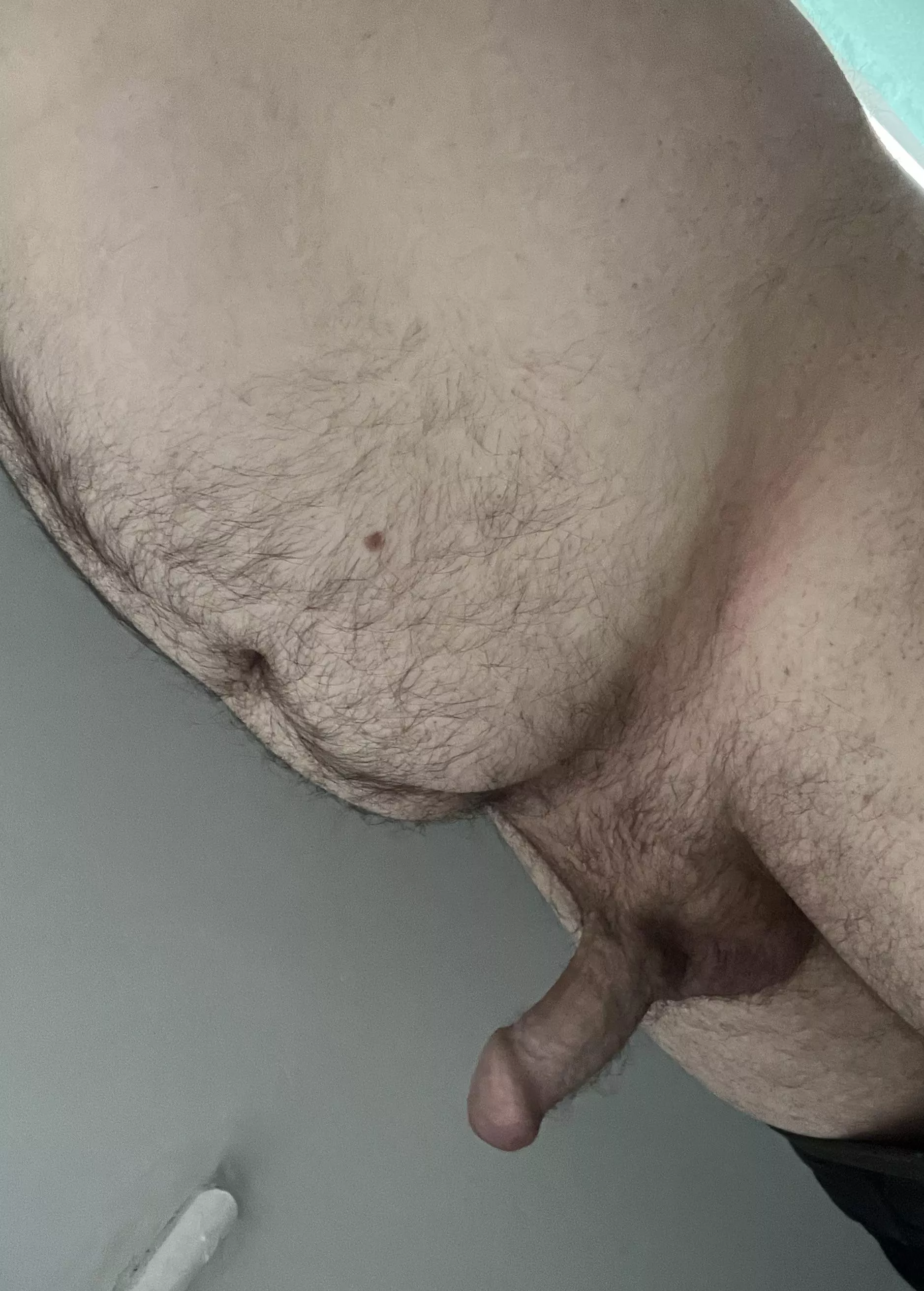 Looking for some fun today while I WFH