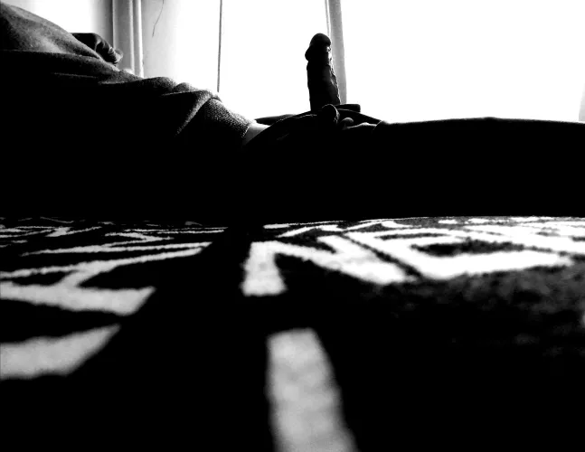 Morning always comes to soon