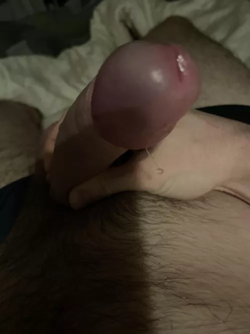 My dick leaks precum if I rub my head at your asshole 🥵💦