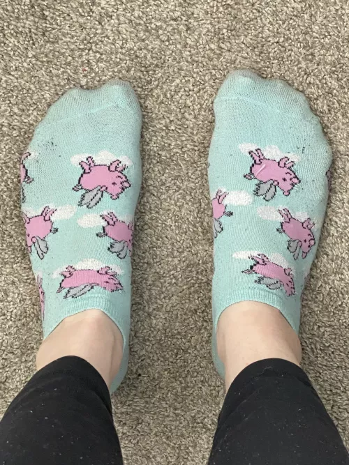 Piggies in piggy socks..I'm in love!