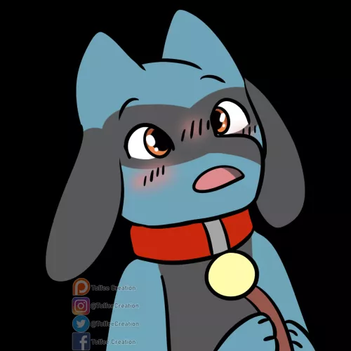 Riolu! (Commissioned Art :D)