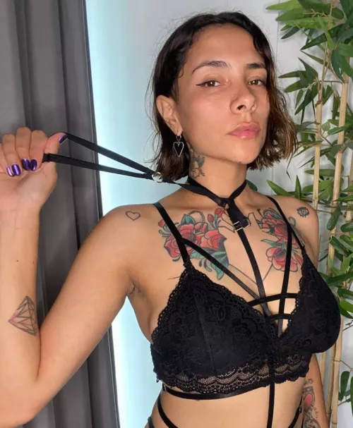 Take the leash and command