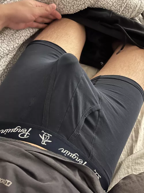 This leaves nothing to the imagination 