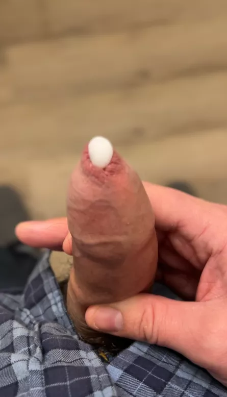 Who likes snow cones?