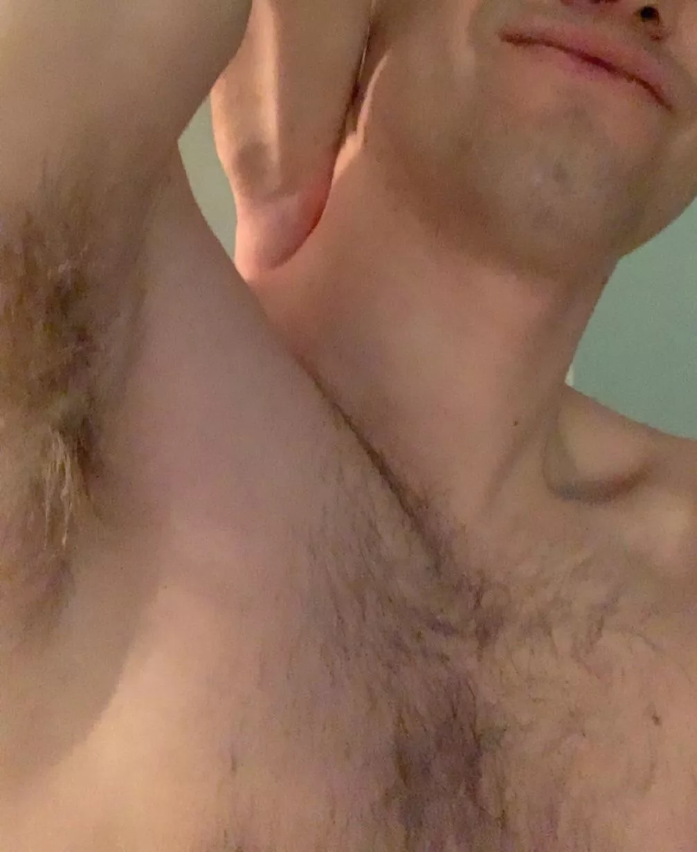 who’s gonna let a homoph0bic cocky white maga bro bully and ruin them? u know u want it. 22m