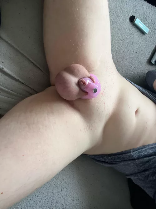 1 week in clitty cage 😈😍