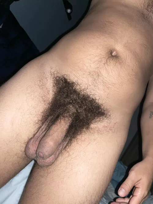 A dense forest, a strong horniness