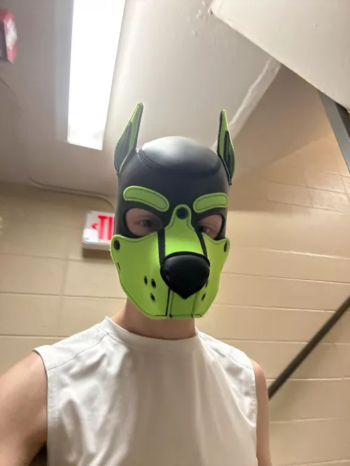 Being sneaky around campus 👟