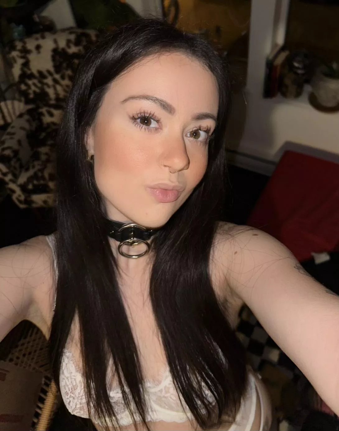 Collared and needing a leash