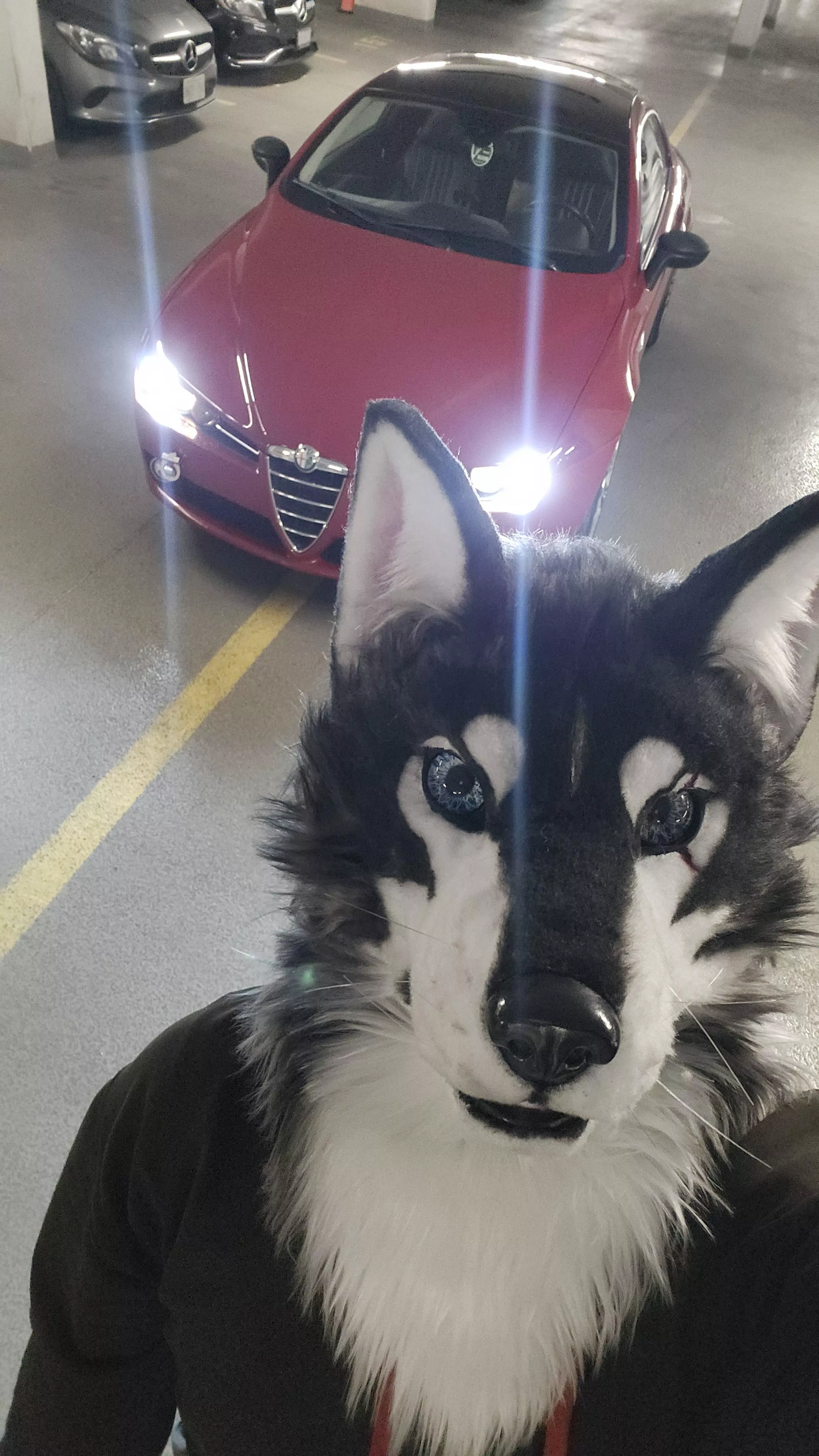 Enjoying my (fairly) new partial