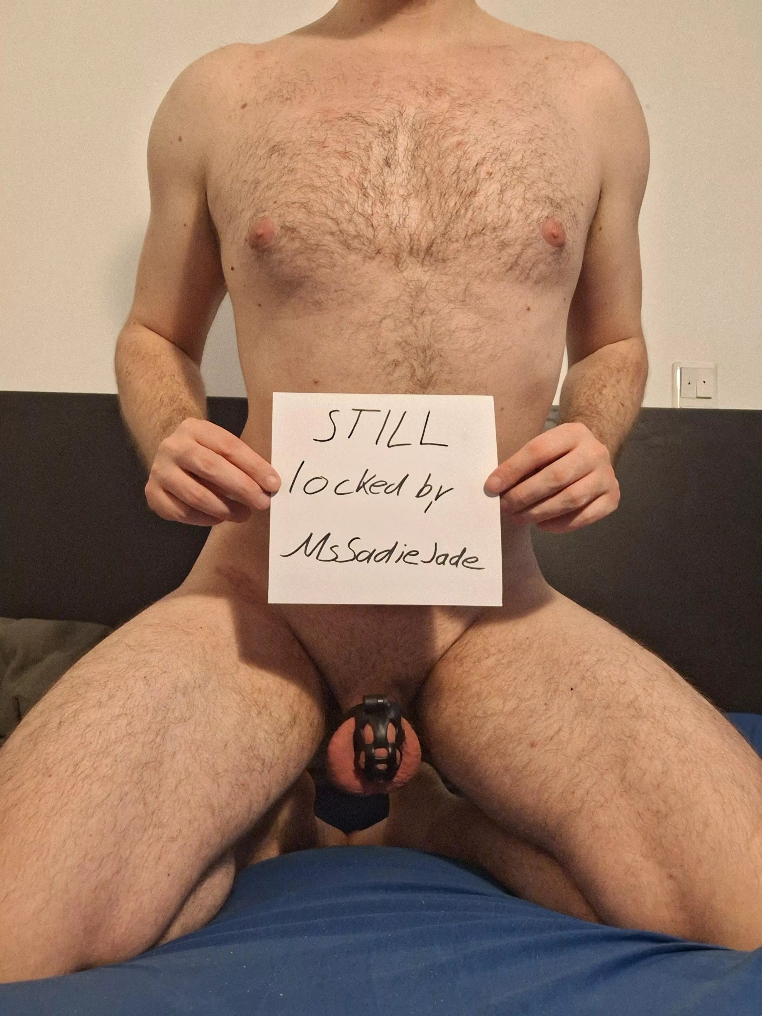 For every up'vote, I get slapped in the balls. For every comment, I get 5 swats on my ass. Please do your worst!