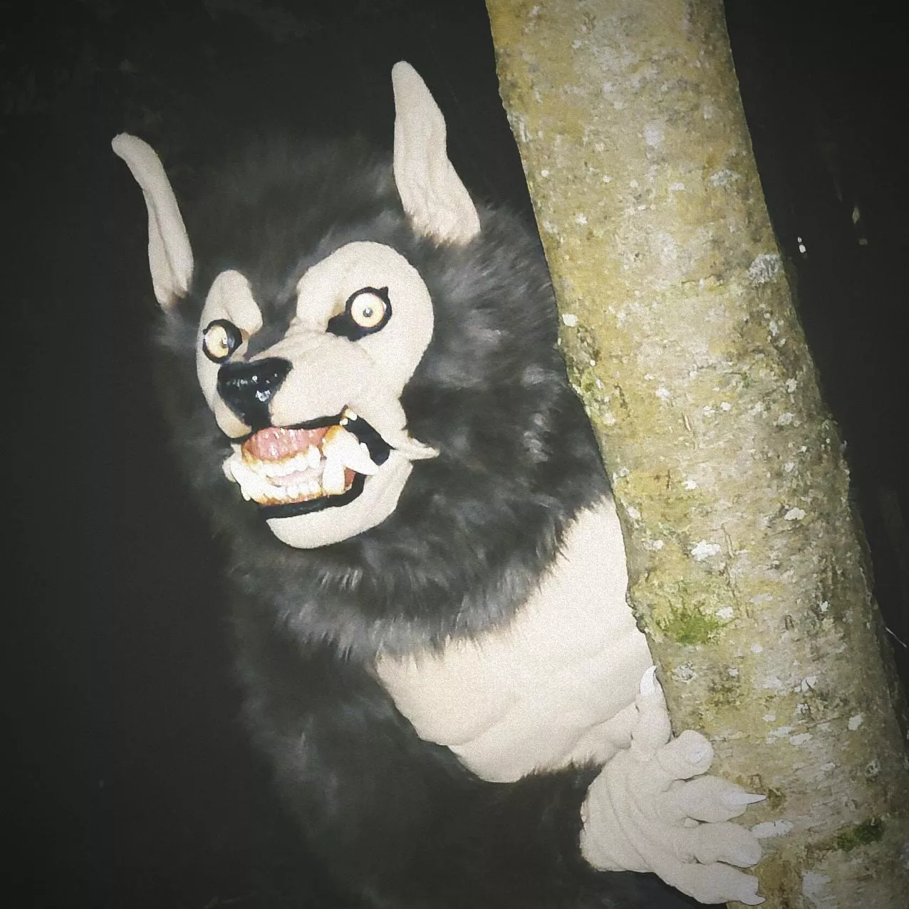 Happy Fursuit Friday! Just a friendly reminder to keep off the moors...