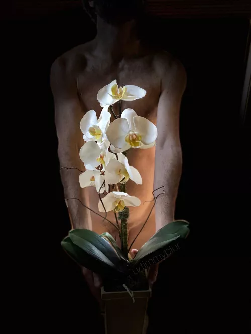 Happy International Women’s Day to all the sexy ladies of ONMWW. 😊