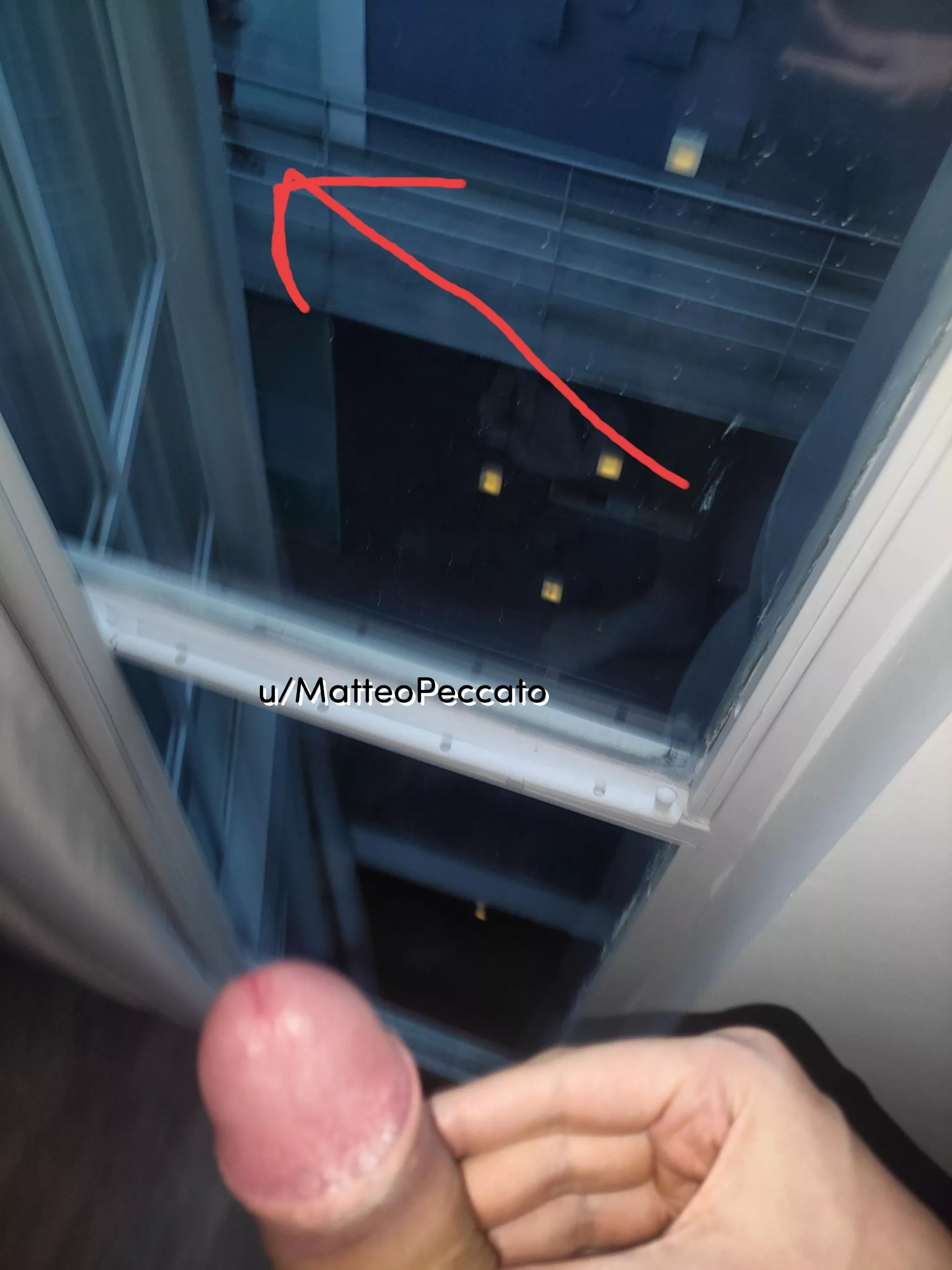 Maybe a little too wild... I think I got caught 😭