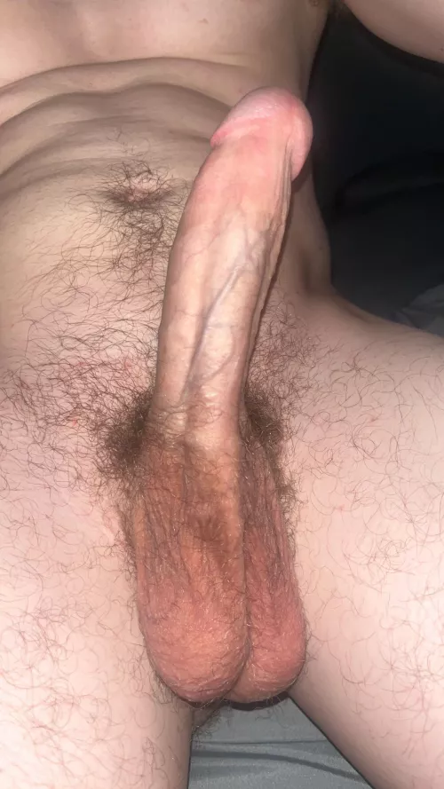 Need to empty my cock deep in some tight little holes