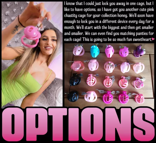 OPTIONS [chastity] [femdom] [denial]