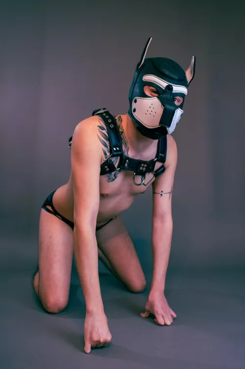 Puppy needs some scratches and pets ☺️