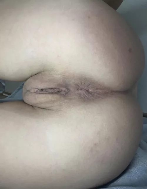 sit on your dick or your face?