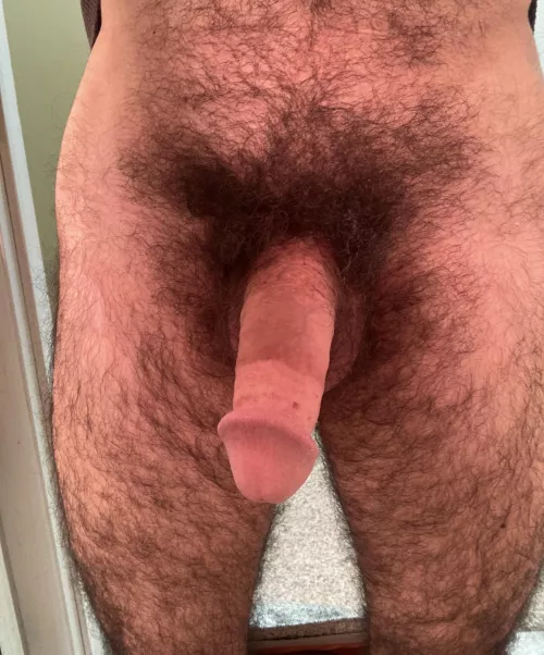 Untrimmed 
