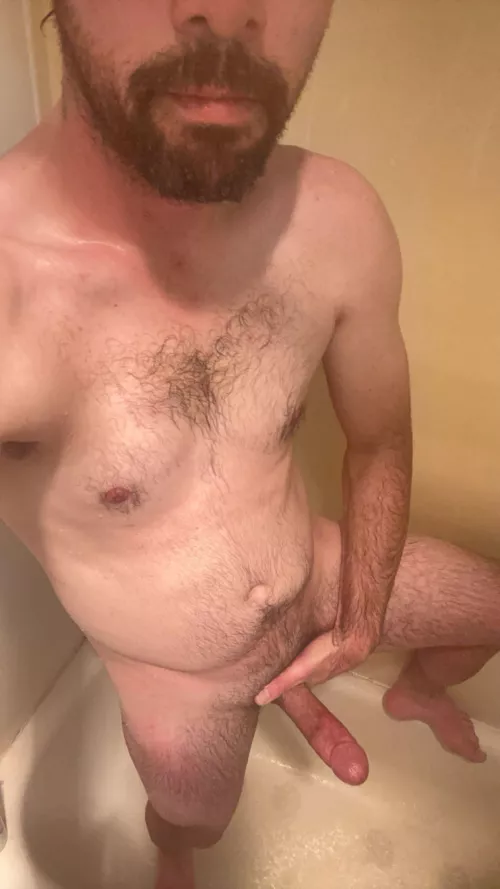 Which would you ride first?