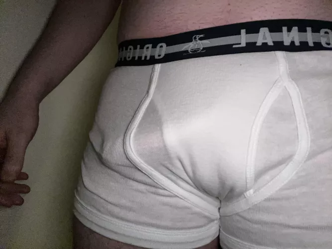 White boxers