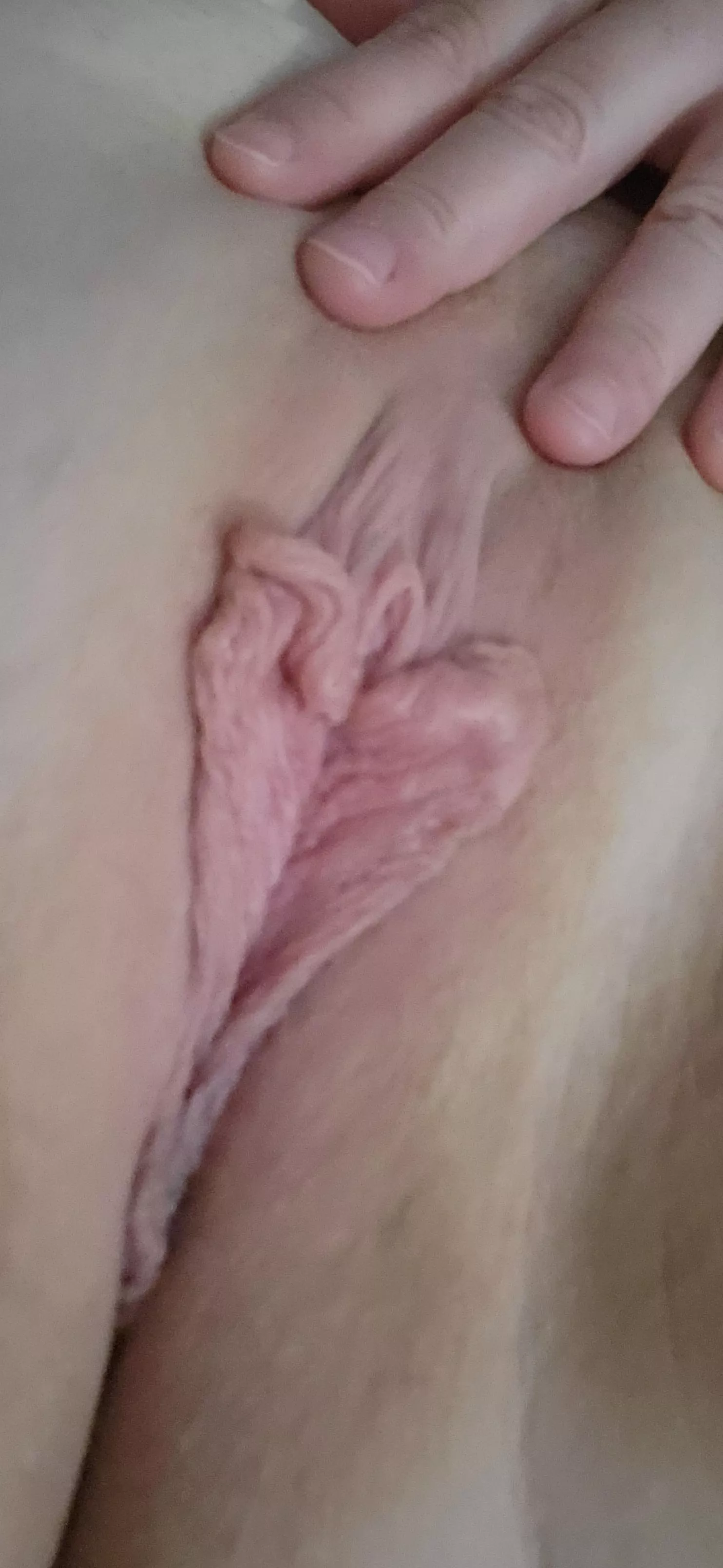 Who wants some Butterfly kisses 🦋