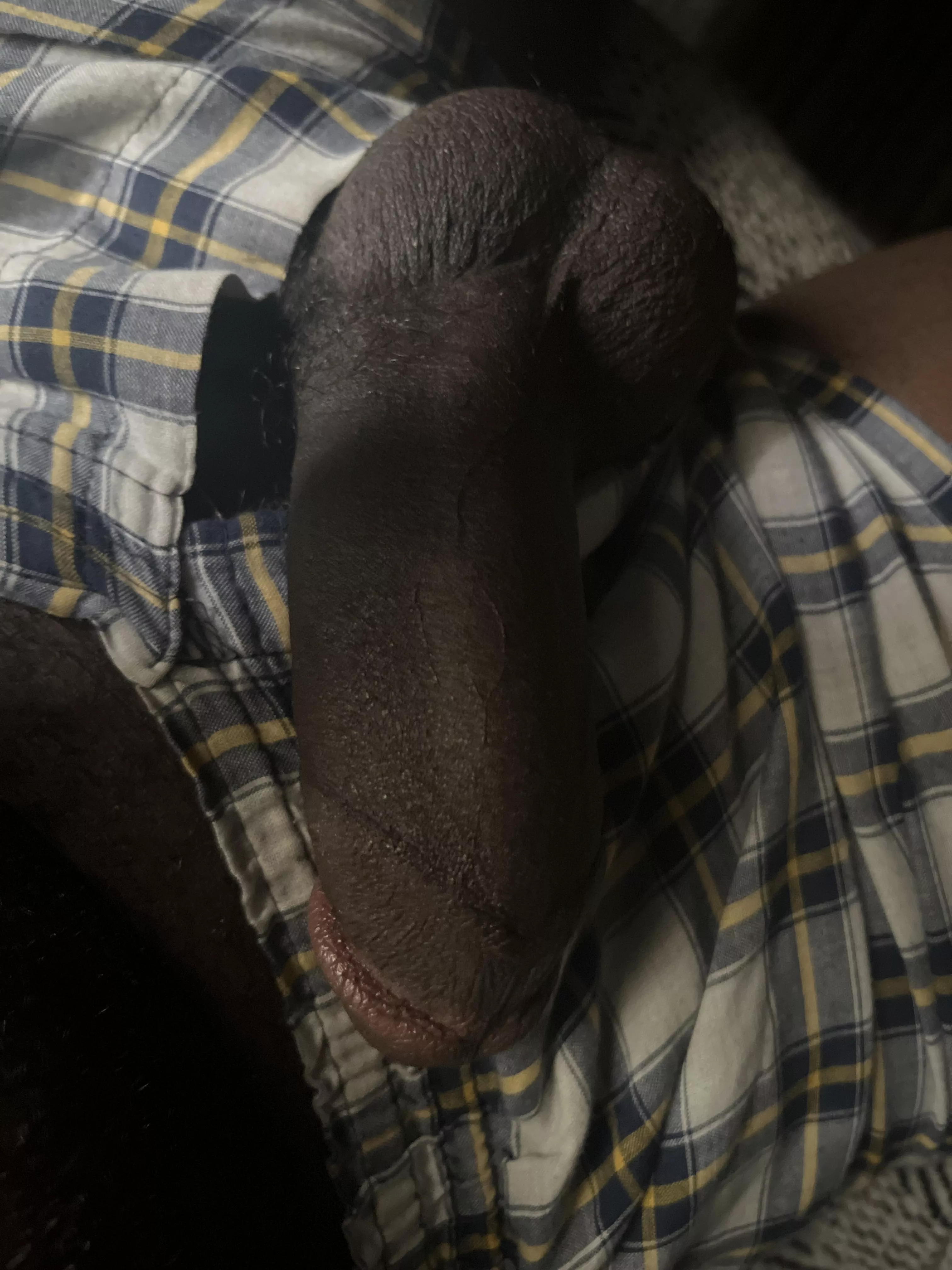 [22] love the attention 