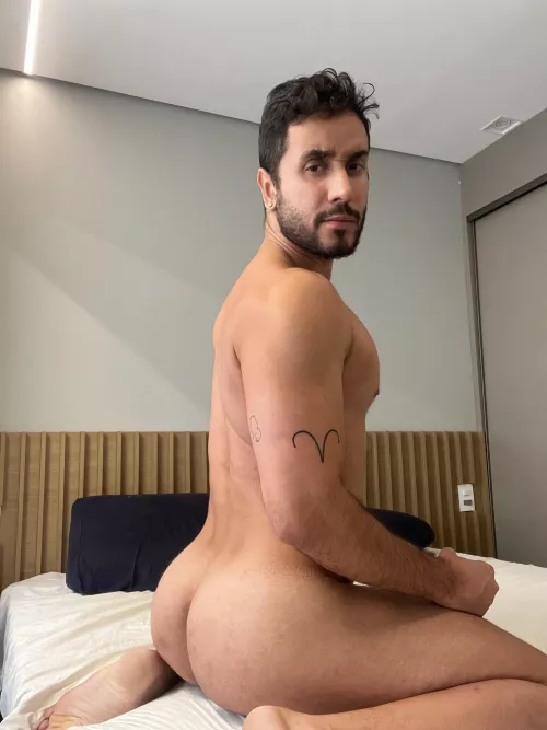 [34] breed me? 🥵 y/n