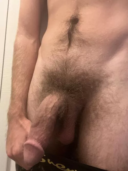 A picture of my semi and bush