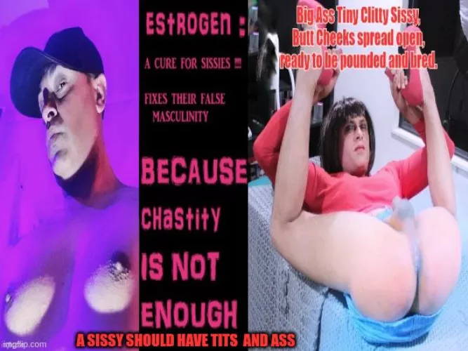 A true Sissy Bitch ought to have Big Tits and Big Ass!