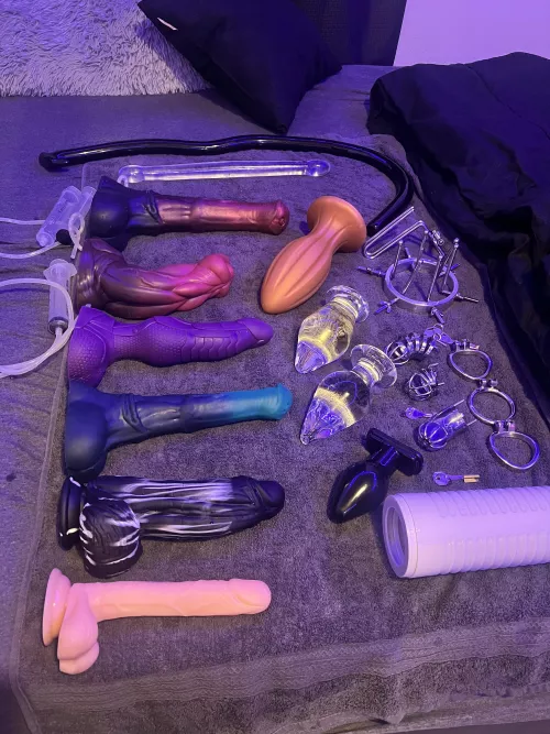 All accounted for ;3