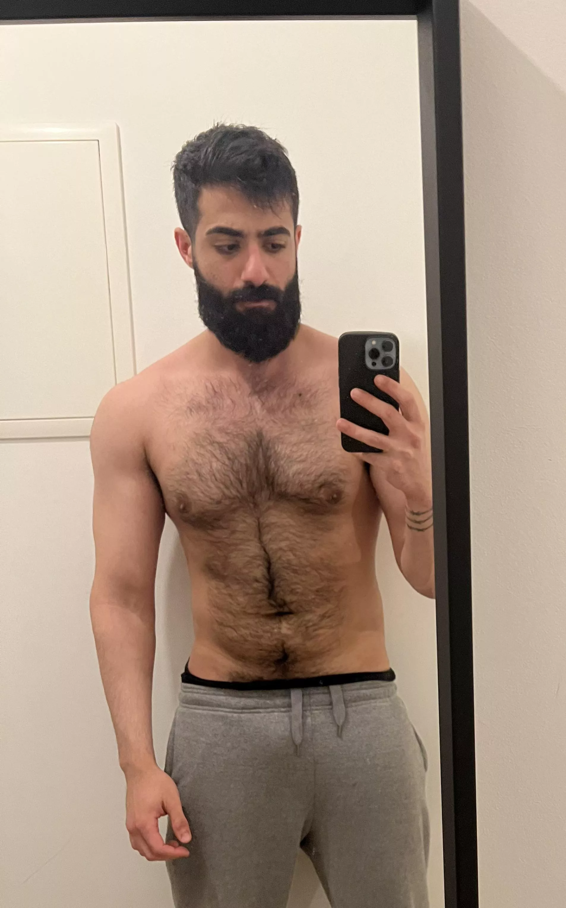 Am i an otter or a bear?