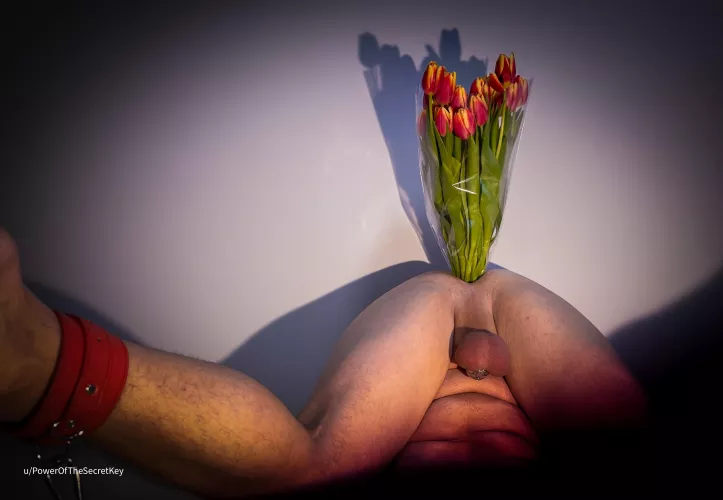 I didn’t have any vase for fresh flowers so now I am using a replacement 🤭 Have you ever been forced to do similar task?