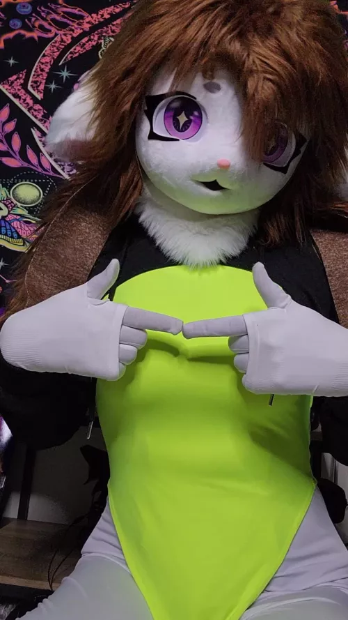 I didn't know I was a Furry until I decided to make some bad financial decisions. Now I'm stuck with this cutie in my life <3