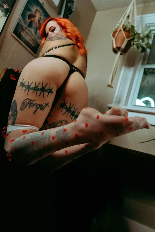 I’d rather be sitting on your face 