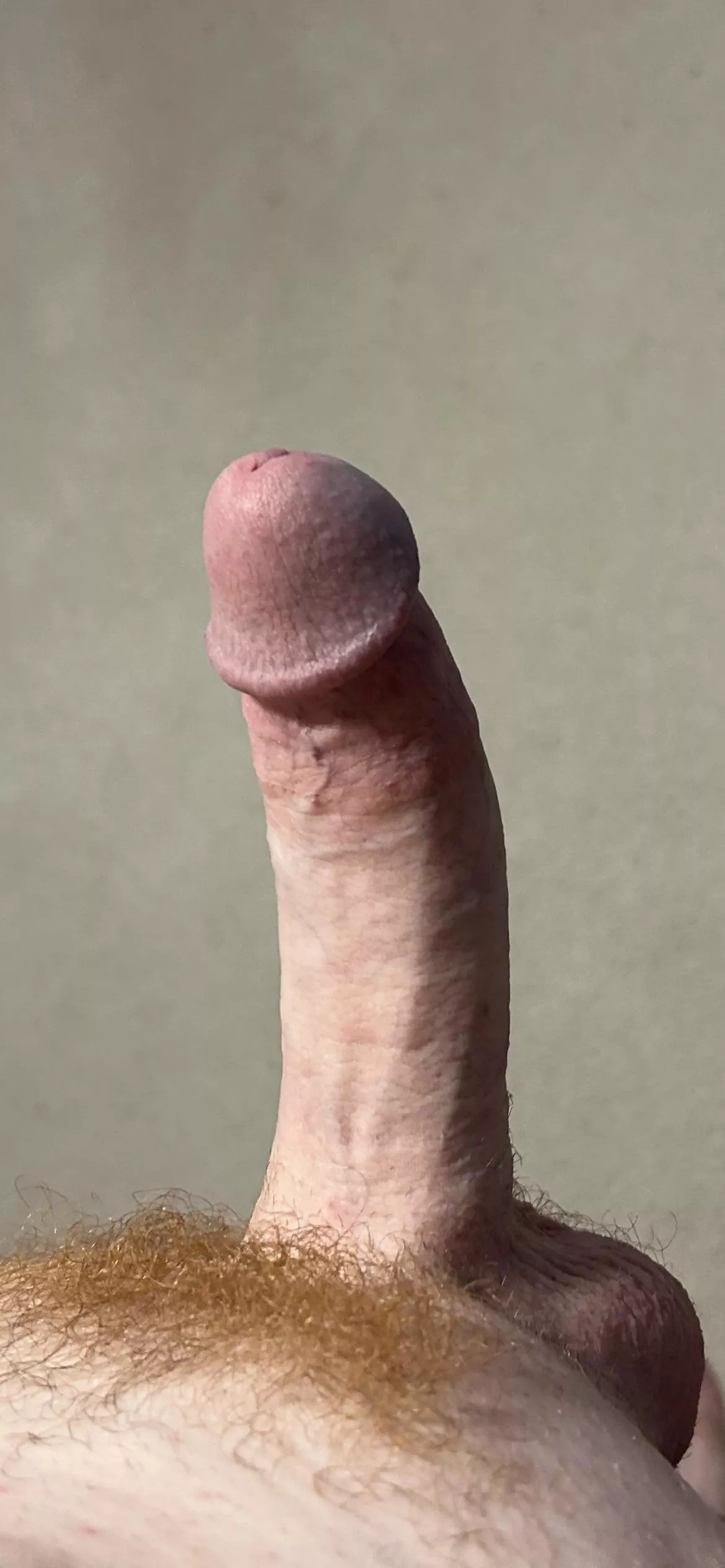 In need of a good service