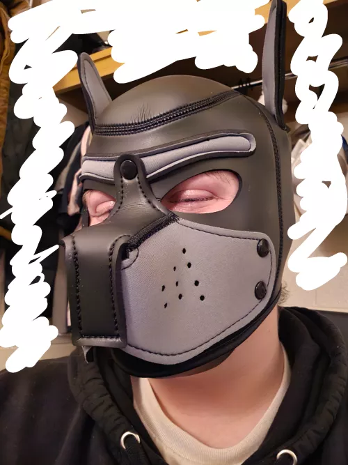 Just got my first hood!