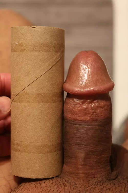 My Small Mexican Dick Failing the TP Roll Challenge