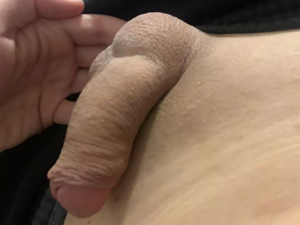 negative software, anybody want to compare?