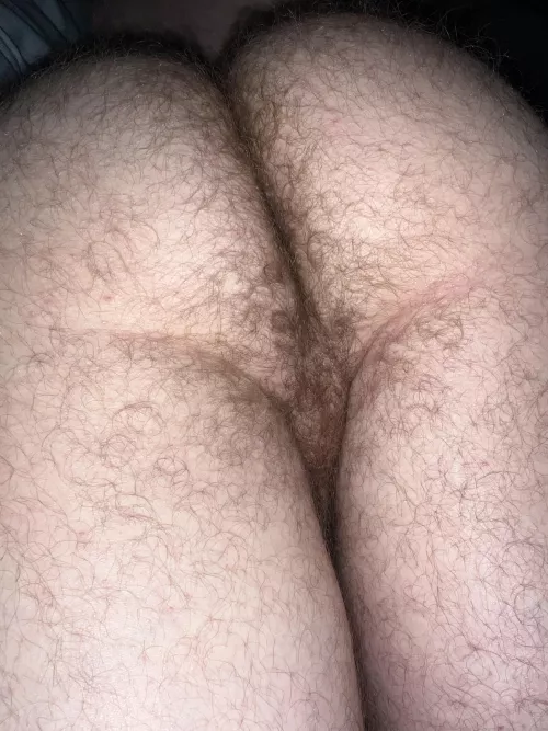 Run your nose thru my hairy ass crack