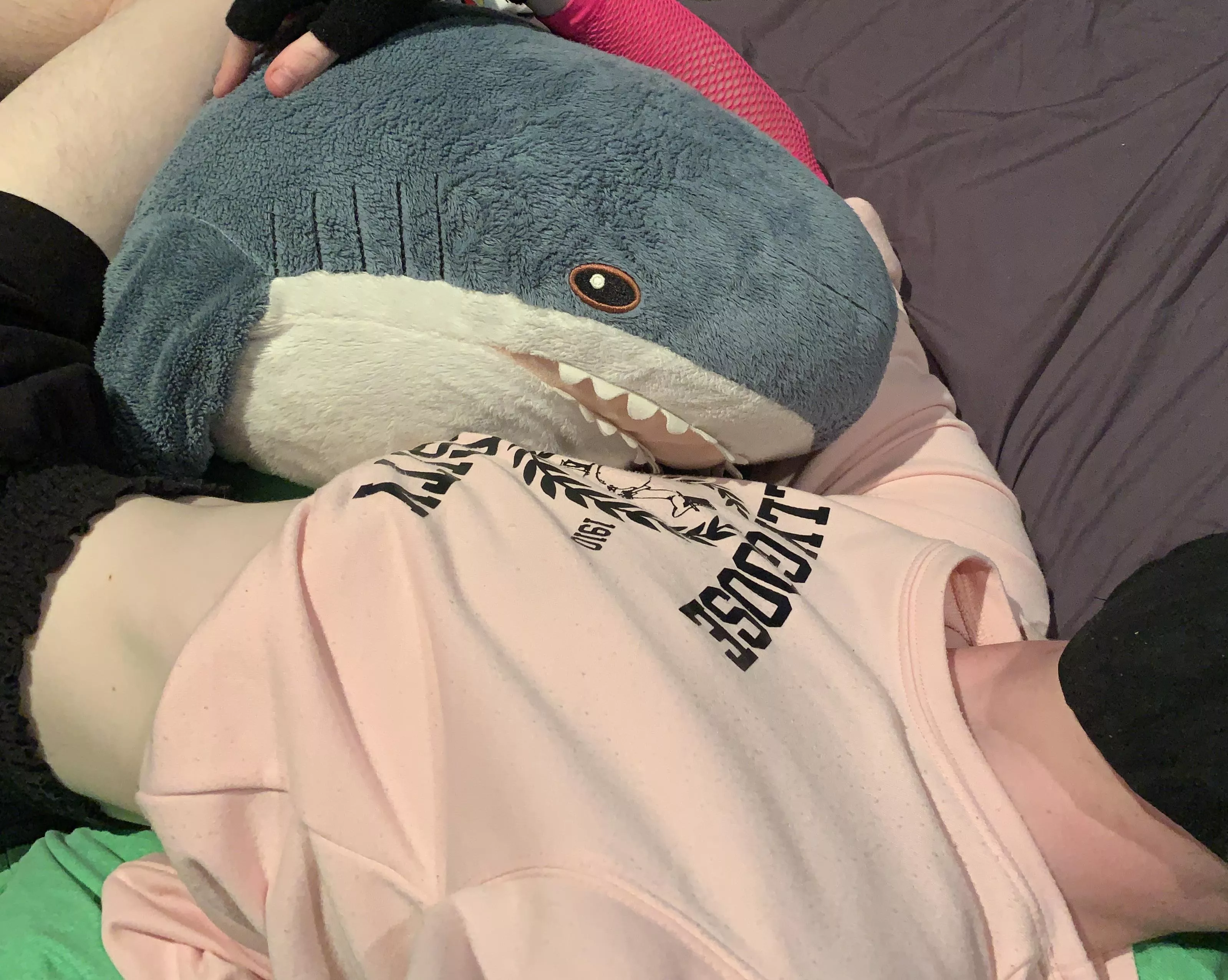 shorky has his eye on you :3