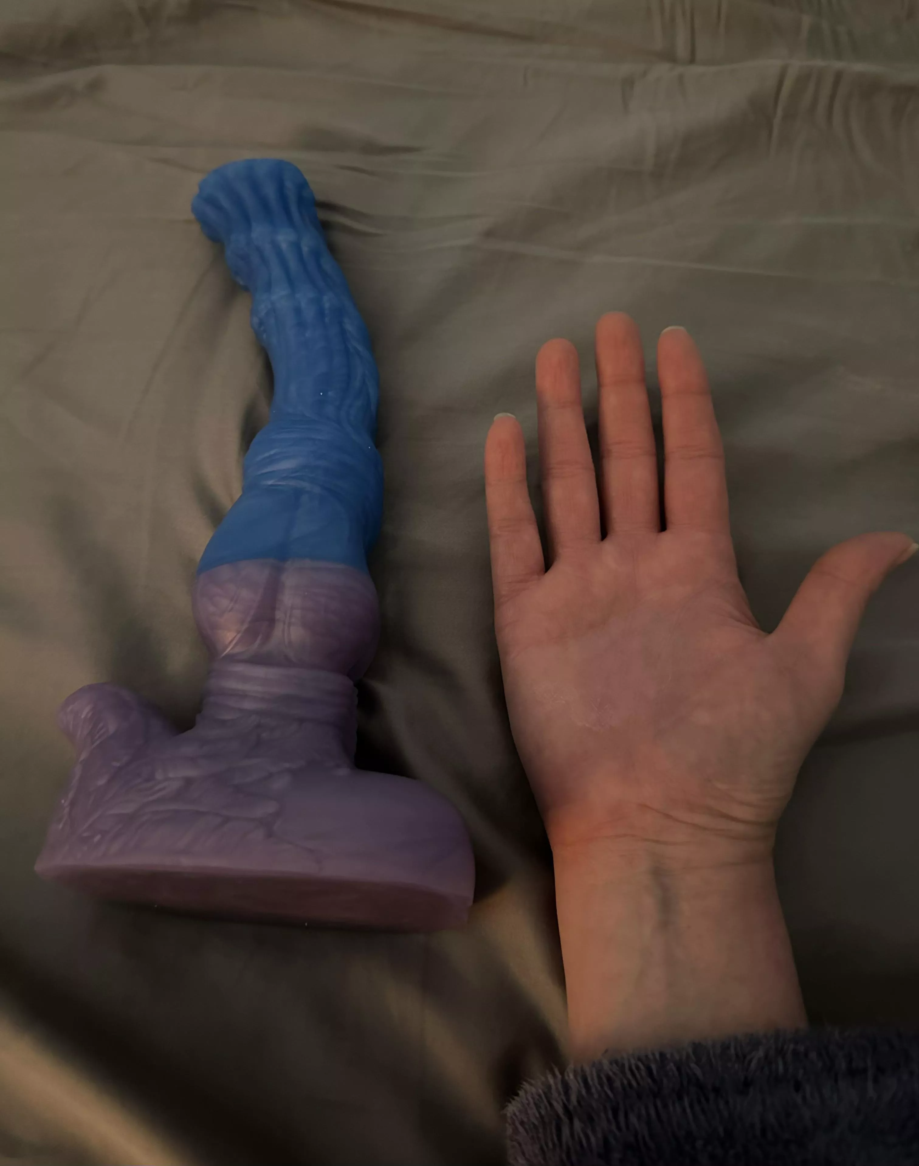 Size comparison of Seraphina….