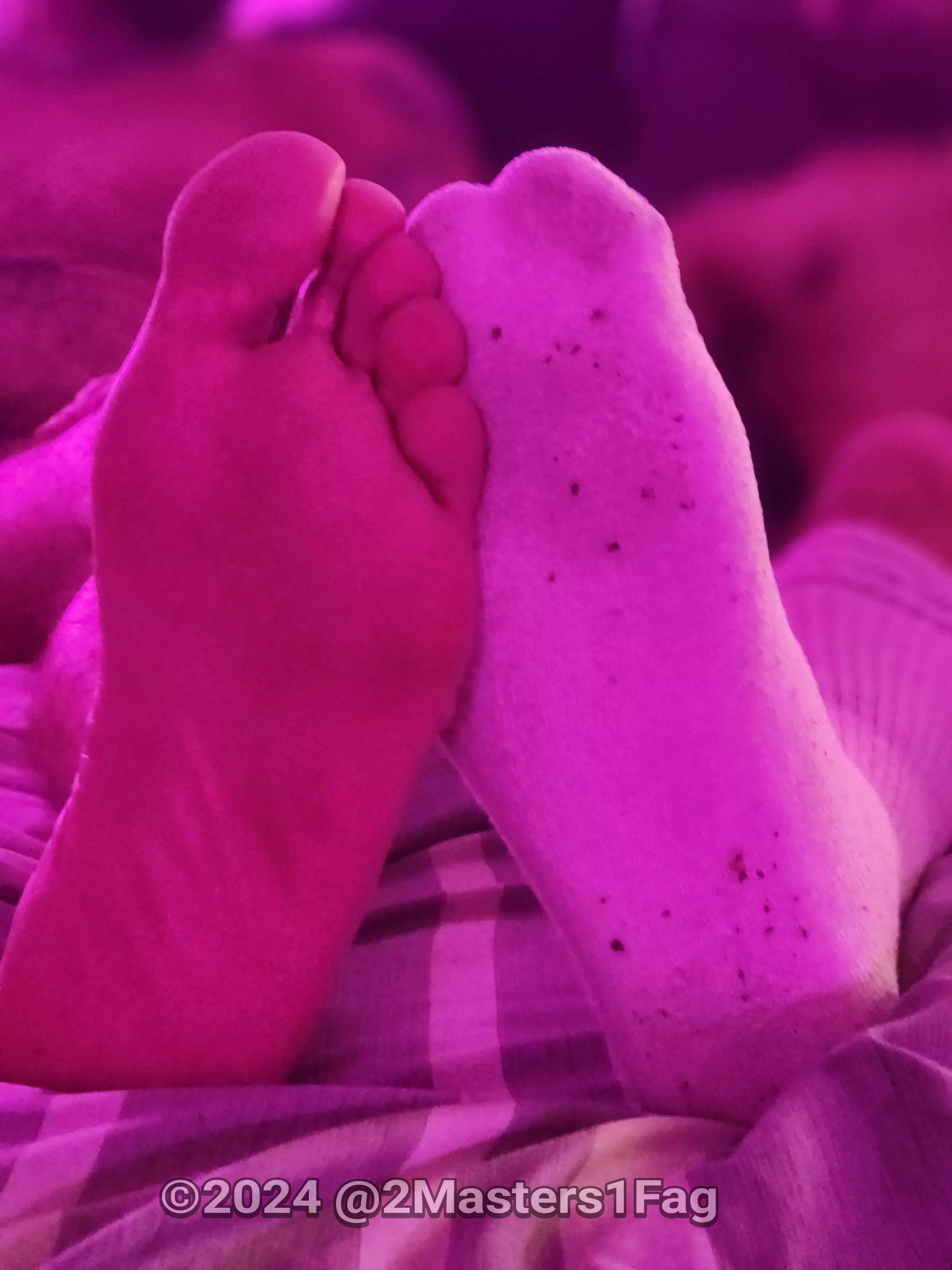 We are deserving Alphas.  Worship.  Serve.  Obey.