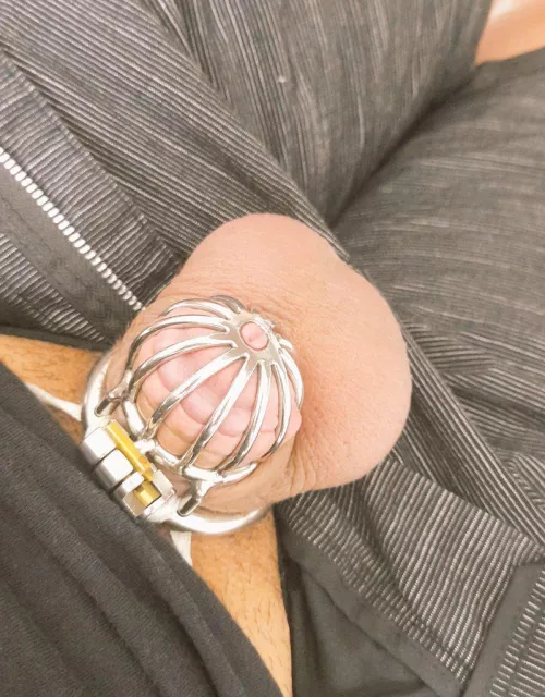 Went to a party last night with my cage on, no one noticed, but it was a thrill the entire time.